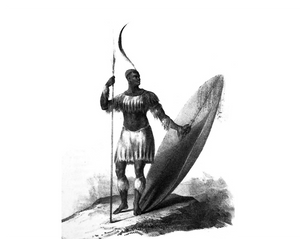 Shaka Zulu Black Warlord
