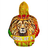 African Lion King Rules Hoodie