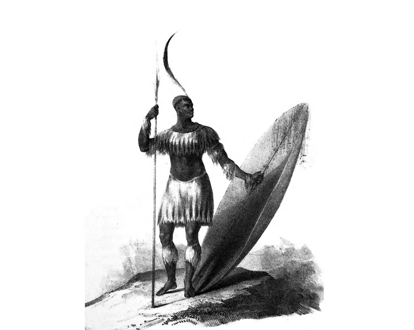 Shaka Zulu Black Warlord